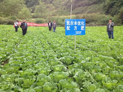 項目案例