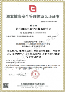 職業(yè)健康體系認證證書